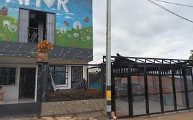 Casa Del Árbol